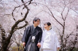 華雅苑立川店_【 和装 】3月4月 桜・チューリップ・菜の花
