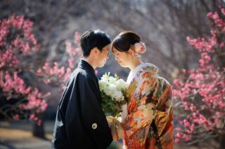 華雅苑立川店_【 和装 】１月２月　梅・昭和記念公園