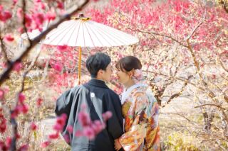 華雅苑立川店_【 和装 】１月２月　梅・昭和記念公園