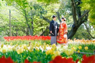華雅苑立川店_【 和装 】３月４月　桜・チューリップ・菜の花