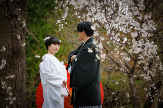 華雅苑立川店_【 和装 】3月~5月 春のお花