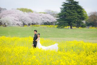 華雅苑立川店_【 ドレス 】昭和記念公園