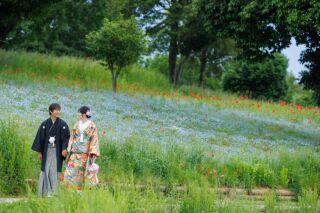 華雅苑立川店_【 和装 】3月~5月 春のお花