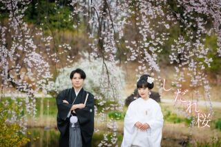 華雅苑立川店_【 和装 】3月~5月 春のお花