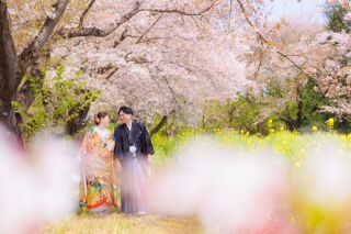 華雅苑立川店_【 和装 】３月４月　桜・チューリップ・菜の花