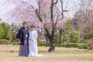 華雅苑立川店_【 和装 】３月４月　桜・チューリップ・菜の花