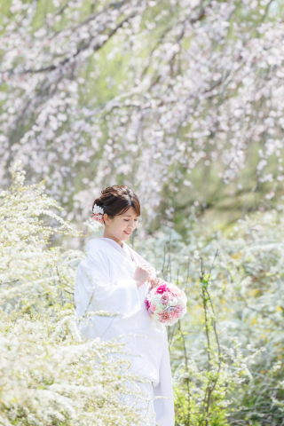 華雅苑立川店_【 和装 】３月４月　桜・チューリップ・菜の花
