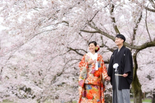 華雅苑立川店_【 和装 】３月４月　桜・チューリップ・菜の花