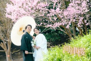 華雅苑立川店_【 和装 】３月４月　桜・チューリップ・菜の花