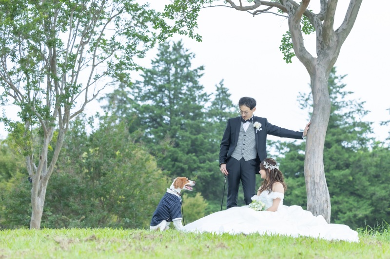 華雅苑立川店_ペットと一緒に撮影できる