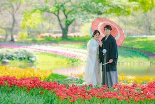 華雅苑立川店_【 和装 】3月4月 桜・チューリップ・菜の花