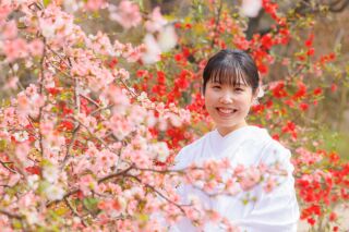 華雅苑立川店_【 和装 】３月４月　桜・チューリップ・菜の花