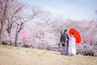 華雅苑立川店_【 和装 】３月４月　桜・チューリップ・菜の花