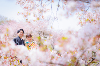 華雅苑立川店_【 和装 】３月４月　桜・チューリップ・菜の花