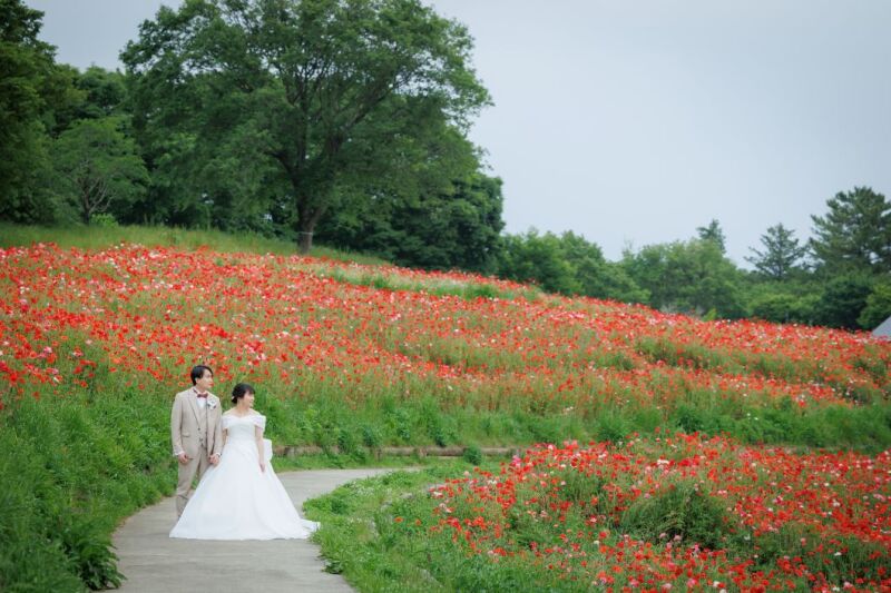 日本庭園や季節のお花と撮影