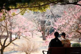 華雅苑立川店_【 和装 】１月２月　梅・昭和記念公園