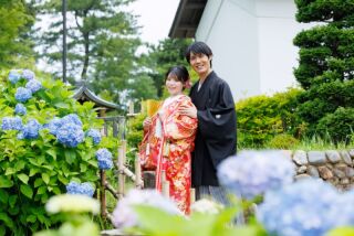 華雅苑立川店_【 和装5月~8月】向日葵・紫陽花