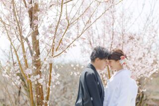 華雅苑立川店_【 和装 】3月4月 桜・チューリップ・菜の花