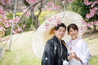 華雅苑立川店_【 和装 】３月４月　桜・チューリップ・菜の花