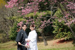 華雅苑立川店_【 和装 】３月４月　桜・チューリップ・菜の花