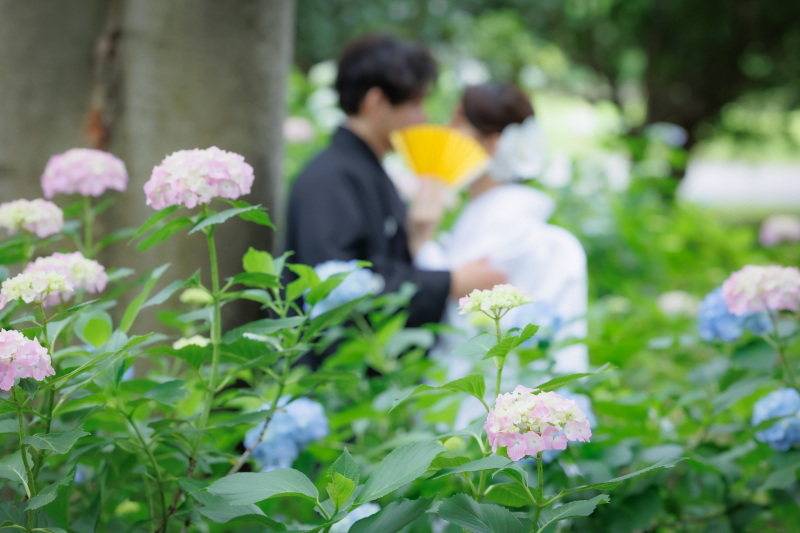 四季折々の花が咲く昭和記念公園