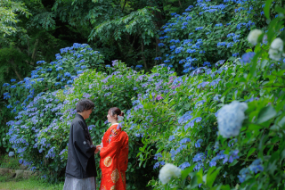 華雅苑立川店_高幡不動尊