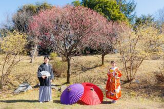 華雅苑立川店_【 和装 】１月２月　梅・昭和記念公園