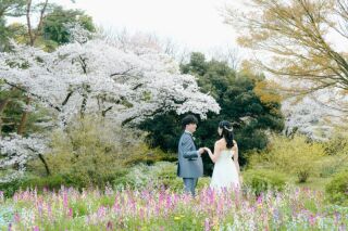 華雅苑立川店_【 ドレス 】昭和記念公園