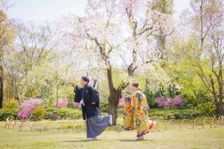 華雅苑立川店_【 和装 】３月４月　桜・チューリップ・菜の花