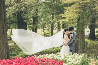 華雅苑立川店_【 ドレス 】昭和記念公園