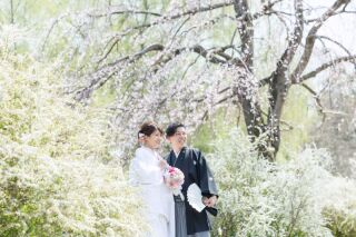 華雅苑立川店_【 和装 】３月４月　桜・チューリップ・菜の花