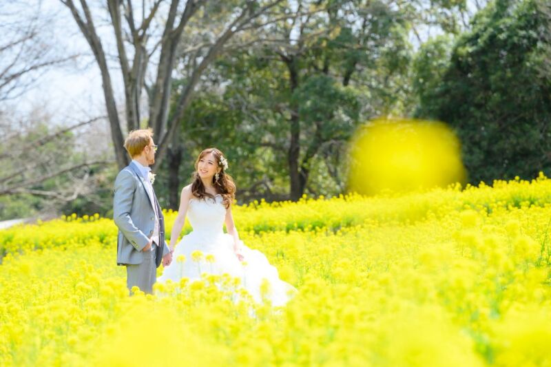 3/10～3/25＊ミモザや寒緋桜・菜の花と撮る洋装ロケーション+和装スタジオ♡210枚／新婦美容込／衣裳差額無し／移動費込み