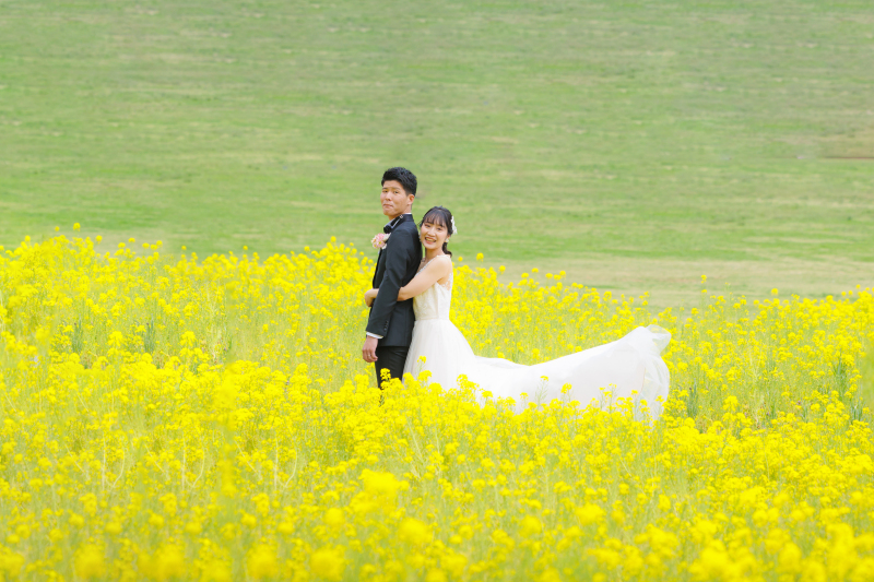 【さくら直前campaign✨3/24迄】和洋弐点 ≪洋:寒緋桜・ミモザ・菜の花≫≪和:スタジオ≫2万円OFF✨123,000円