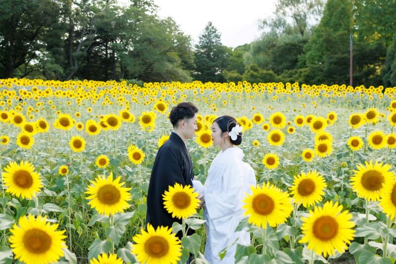 【7/1~8/16】夏限定100枚✨和装1着68,000円「昭和記念公園」ロケorロケ×スタ◇土日祝料金無料など3大特典付‼️