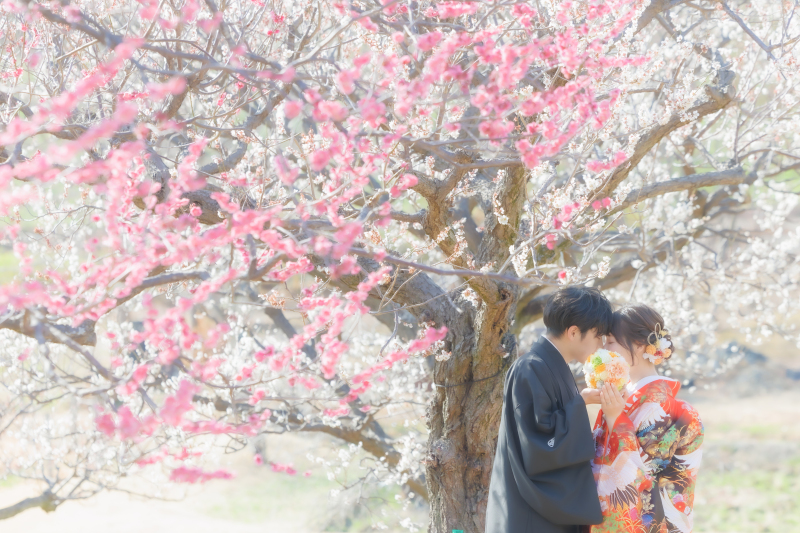 【2/1～3/15撮影限定】梅の花・菜の花・河津桜などお好きなお花とスタジオで撮影ができる♡和装２着99,000円／230カット