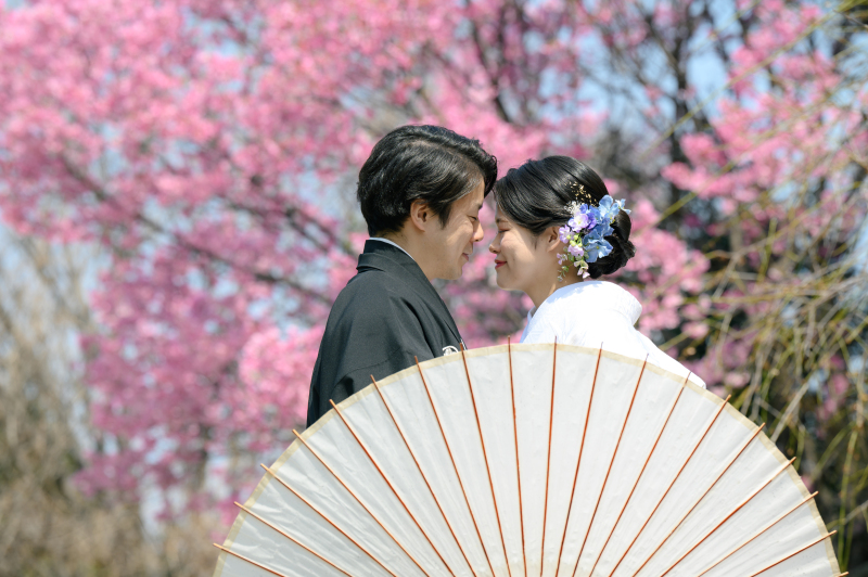 ≪3/1~3/25≫さくら直前campaign✨菜の花・日本庭園・梅・桜で撮影『和装壱点』130枚◇5営業日後納品◇全て込み
