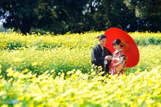 ３大特典付き【9/30迄の撮影✨】88,000円‼️『和洋弐点プラン』庭園＋コスモス（和装）＋ スタジオ（洋装）120カット