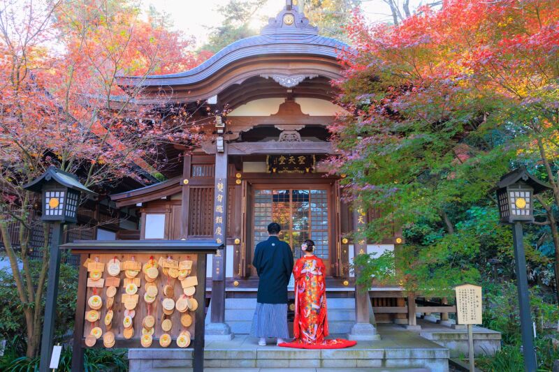 【11/1~12/12平日限定】22,000円OFFフォトアイテム付き✨『和装壱点』 高幡不動尊 衣装1着/130枚