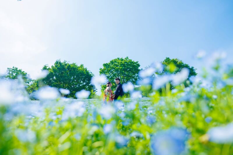 【新緑キャンペーン】和洋弐点≪昭和記念公園の季節のお花≫123,000円210枚付き！ 20,000円OFF／土日料金無料✨