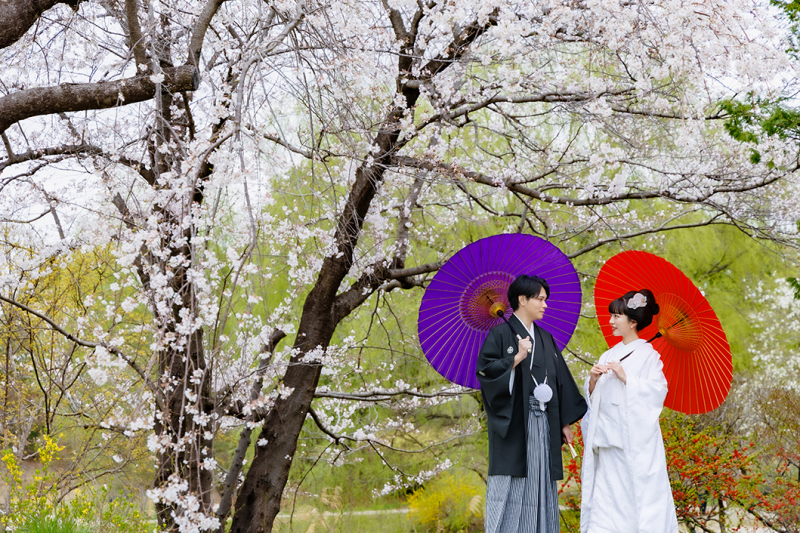 桜フォト♡3/26~4/10 和装2着ロケロケプラン✨≪桜・菜の花・日本庭園 掛け替え2着≫ 230枚/移動費込み/美容代込み