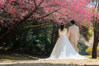 3/10～3/25＊ミモザや寒緋桜・菜の花と撮る洋装ロケーション+和装スタジオ♡210枚／新婦美容込／衣裳差額無し／移動費込み