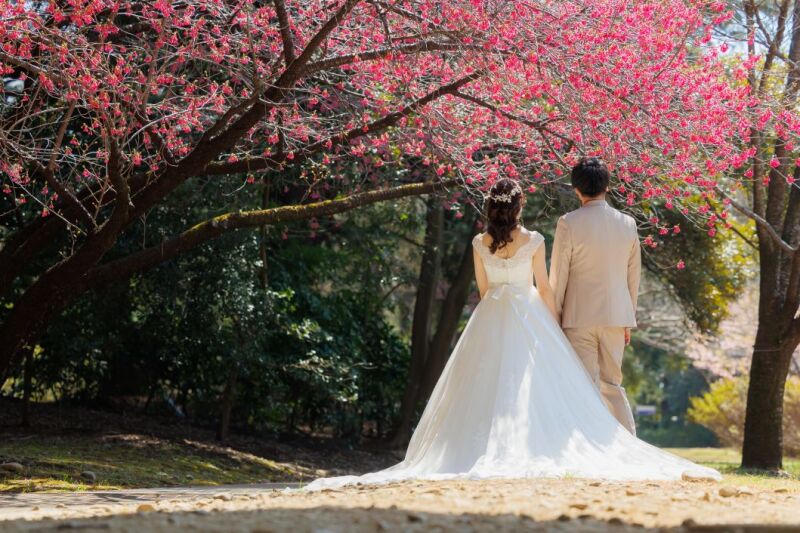 3/10～3/25＊ミモザや寒緋桜・菜の花と撮る洋装ロケーション+和装スタジオ♡210枚／新婦美容込／衣裳差額無し／移動費込み