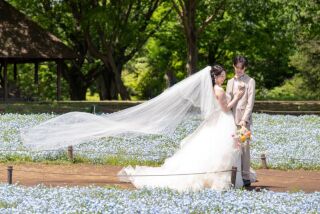 【4・5月撮影】洋装ネモフィラなどのお花♢和装スタジオ◇123,000円210枚付き！ 20,000円OFF【新緑キャンペーン】