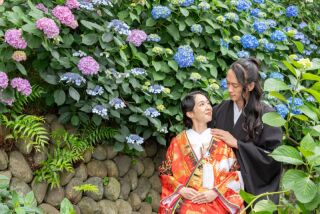 【6月撮影】高幡不動尊+スタジオ◇紫陽花キャンペーン22,000円OFF◇平日限定99,000円