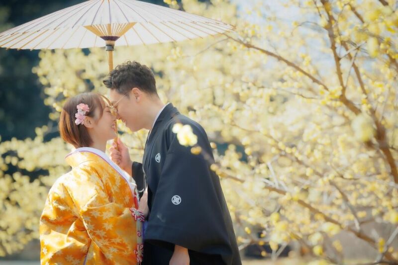 2/28迄の撮影『ロケスタ和洋』93,000円✨和洋弐点：洋装スタジオ・和装日本庭園　衣裳2着／100カット