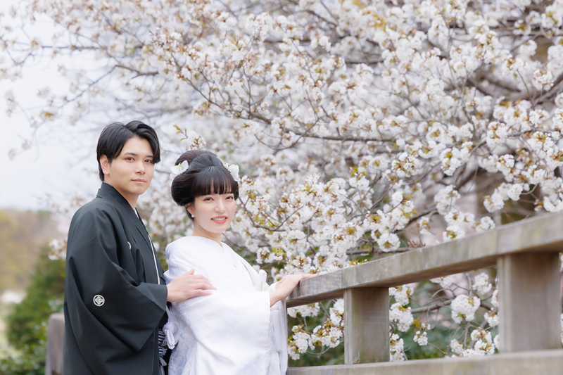 3/26～4/10＊日本庭園と桜+スタジオで撮影『和装弐点』230枚／新婦美容込／衣裳差額無し／移動費込み