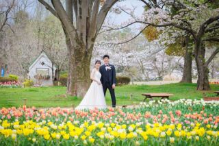 ≪チューリップとスタジオ≫　4/5～4/10　和洋弐点プラン 210枚／新婦美容込／衣裳差額無し／移動費込み