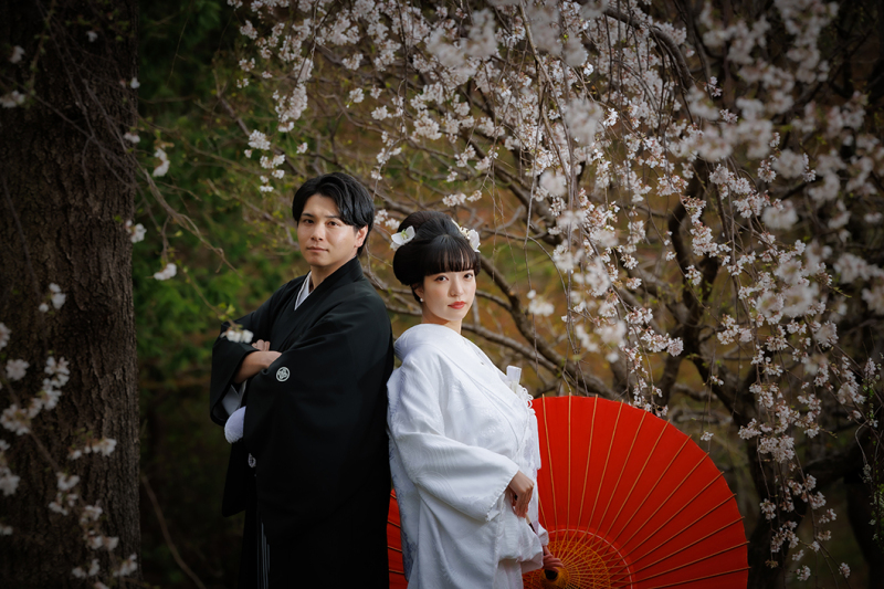 桜フォト♡3/26~4/10 ロケ×ロケ和洋弐点プラン≪洋:桜や菜の花≫≪和:日本庭園≫ 210枚/衣裳差額無し/移動費込み