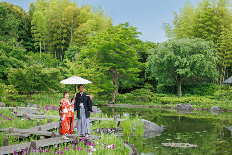 6/30迄の撮影【紫陽花キャンペーン】和洋弐点◇和装 日本庭園+紫陽花／洋装 スタジオ123,000円♡210枚たっぷり納品