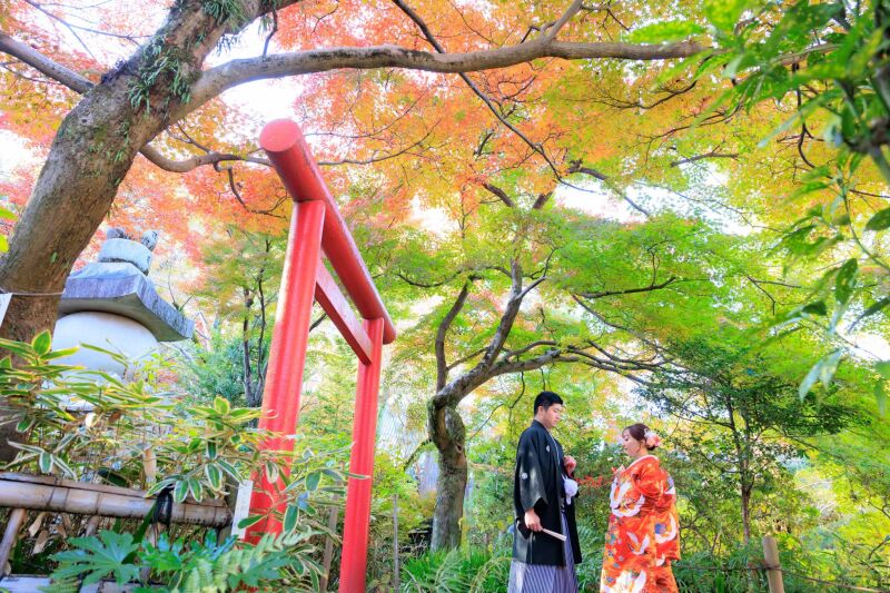 【11/1~12/12平日限定】22,000円OFFフォトアイテム付き✨『和装壱点』 高幡不動尊 衣装1着/130枚